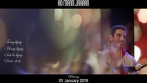 Dosti (Ho Mann Jahaan) - Full AUDIO Song HD (Lyrical) - Zoheb Hassan, Zebunnisa Bangash