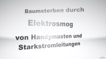 Mag. Josef Neuschitzer - Baumsterben durch Elektrosmog von Handymasten und Starkstromleitungen