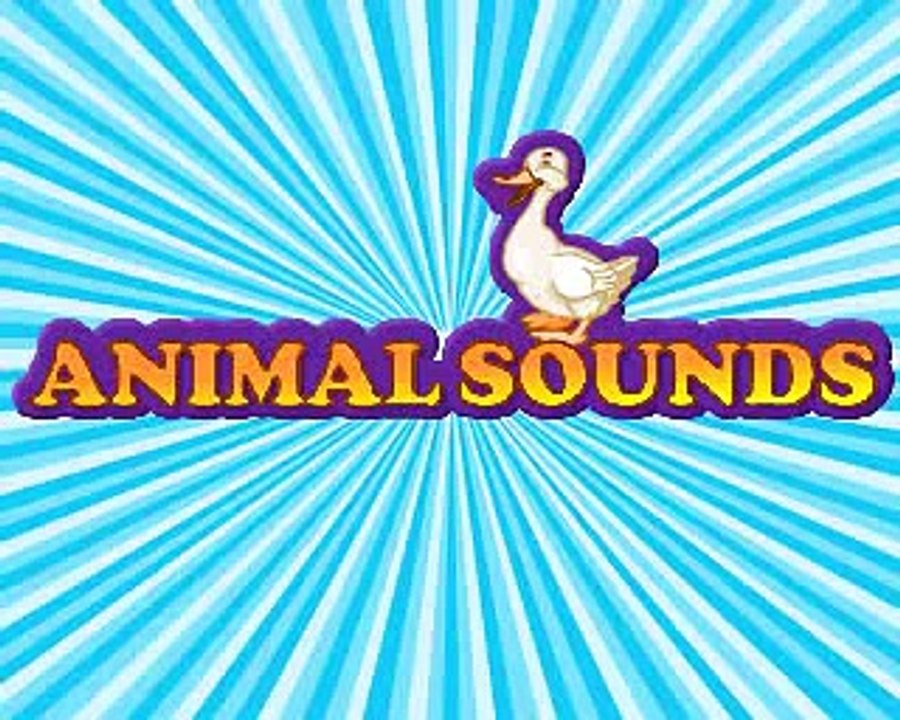 Animal Sounds Animated English Nursery Rhyme
