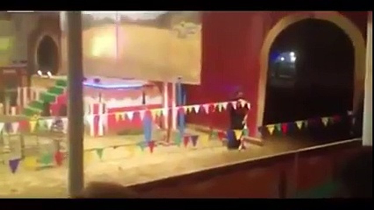 Horse dragged his owner