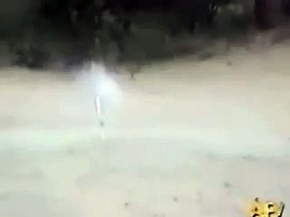 Dogs And Fireworks  Unlimited LOL Video