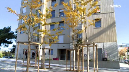 Nantes : des jeunes blessés par balle dans les quartiers