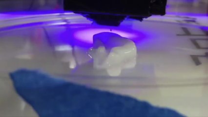 2015 Kairos Global Summit - Biobots