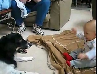Puppies are Funny Unlimited LOL Video