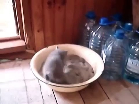 Не понял что это было! Прикол!