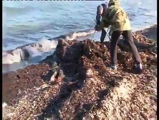جو یورپ جانا چاہتا ہے اُس سے پہلے یہ ویڈیو ضرور دیکھیں