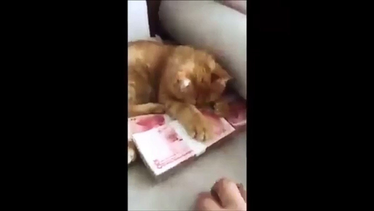 é meu não toca