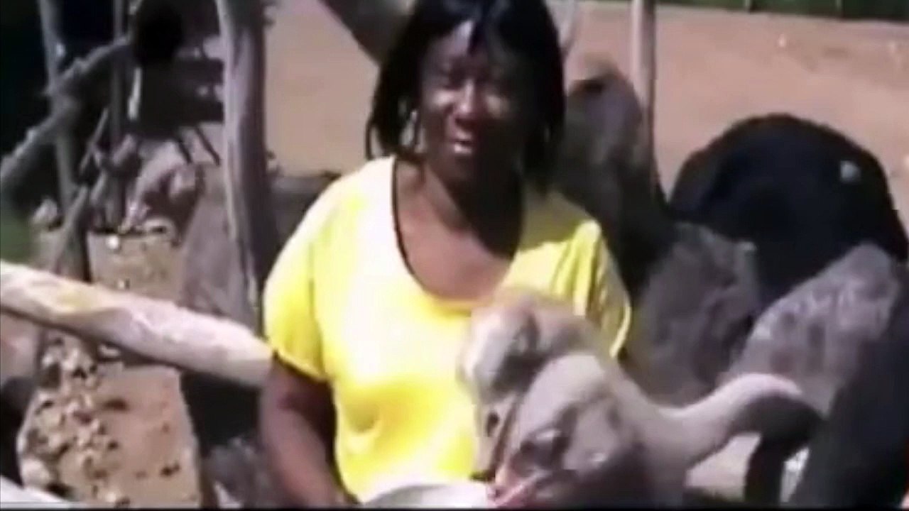 Eric Litvin #mondaymotivation with z57 reviews and complaints too