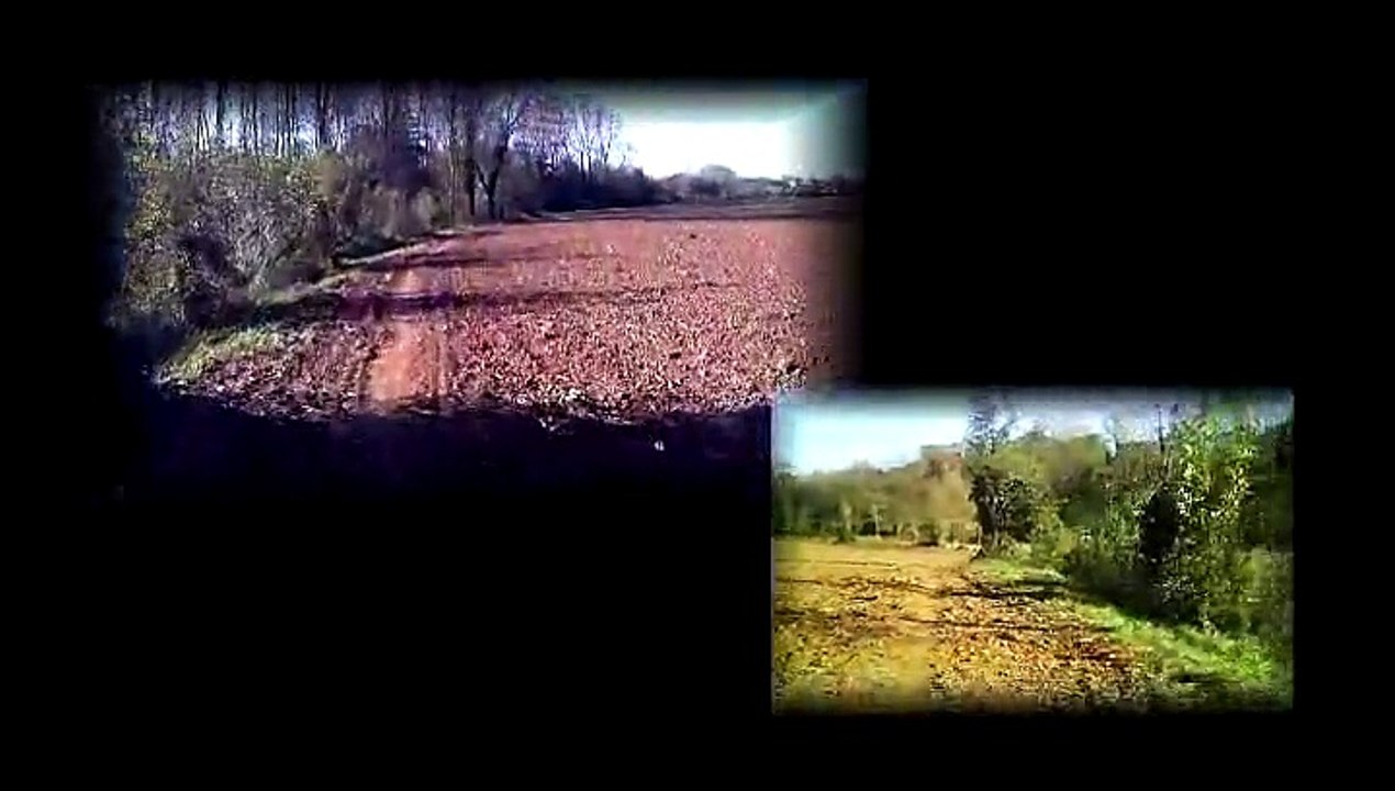 Halloween run, Niort et alentours.