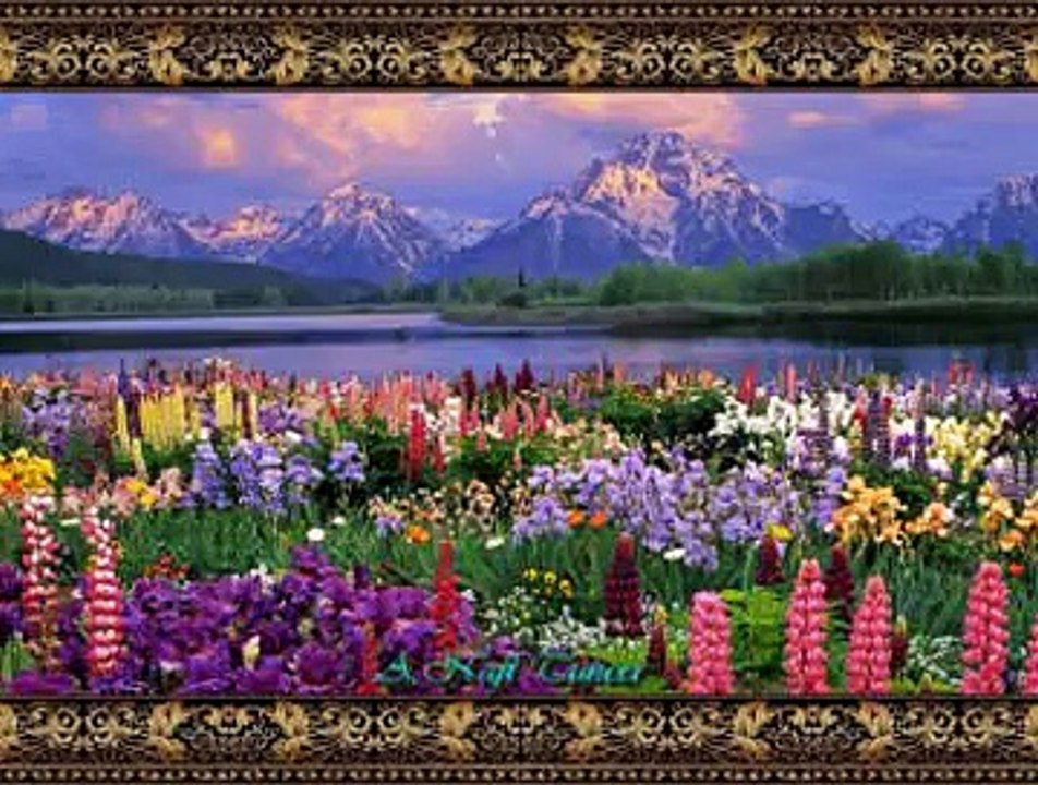 Mehmet Emin BİTMEZ (Ud)-Anadolu Varyasyonları