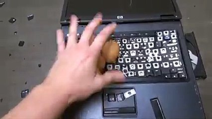 The power of a common man (or internet explorer).