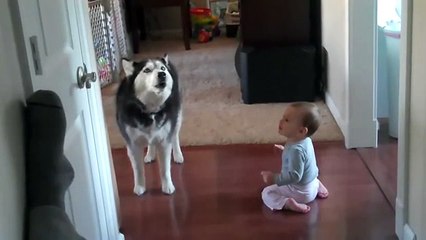 Köpekle Bebek Arasındaki Diyalog