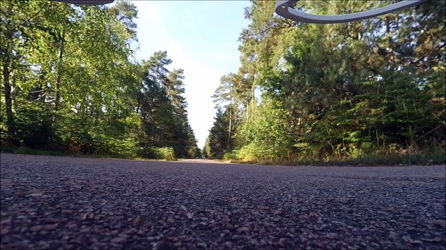 prise de vue foret de senlis