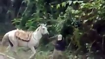 This Drunken Man Try All The Way To Get on The Horse But See Youself What Happened with Him | Funny Horse Riding