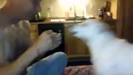 Dog Reacts To Disappearing Magic Trick