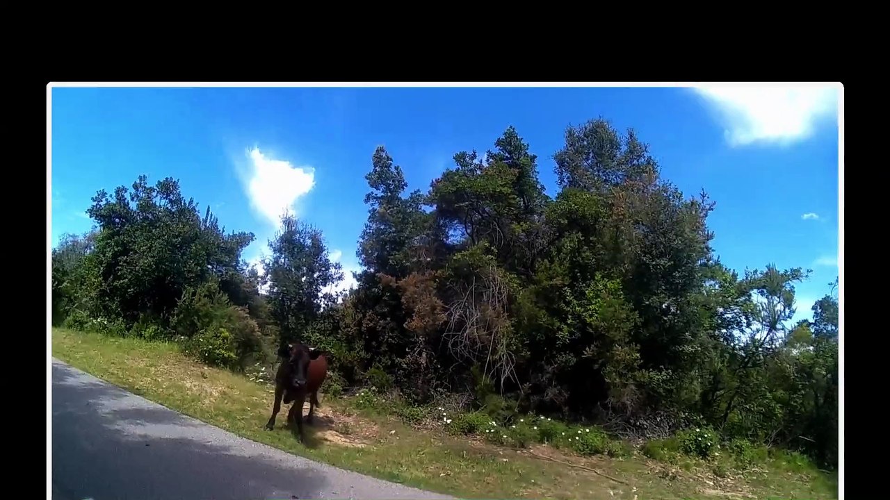 Corse 2015