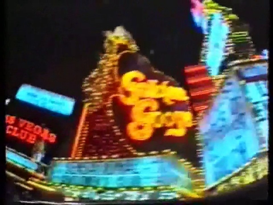 'Two Mad2Cats in USA'   (1992)  Part 2,  Las vegas