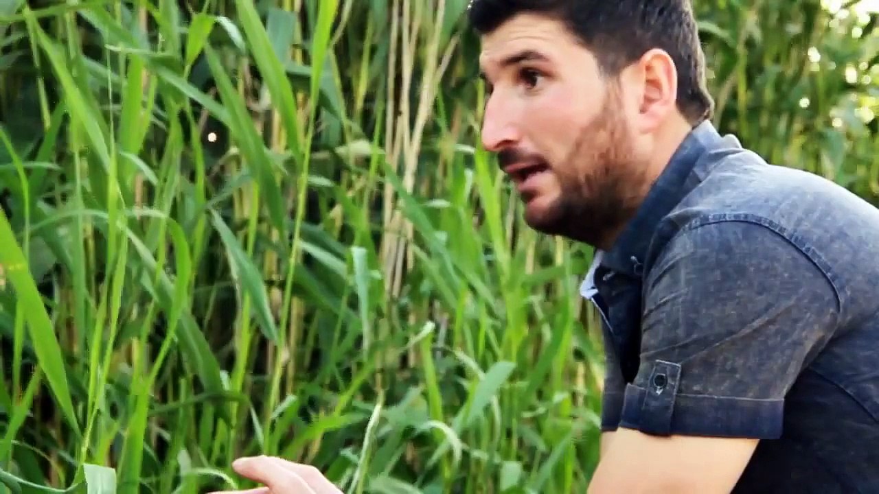 Adar Günay - Zelixa Mın 2015 - KURDISH MUSIC 2015 - KÜRTÇE MÜZİK 2015 - MUZIKA KURDI 2015