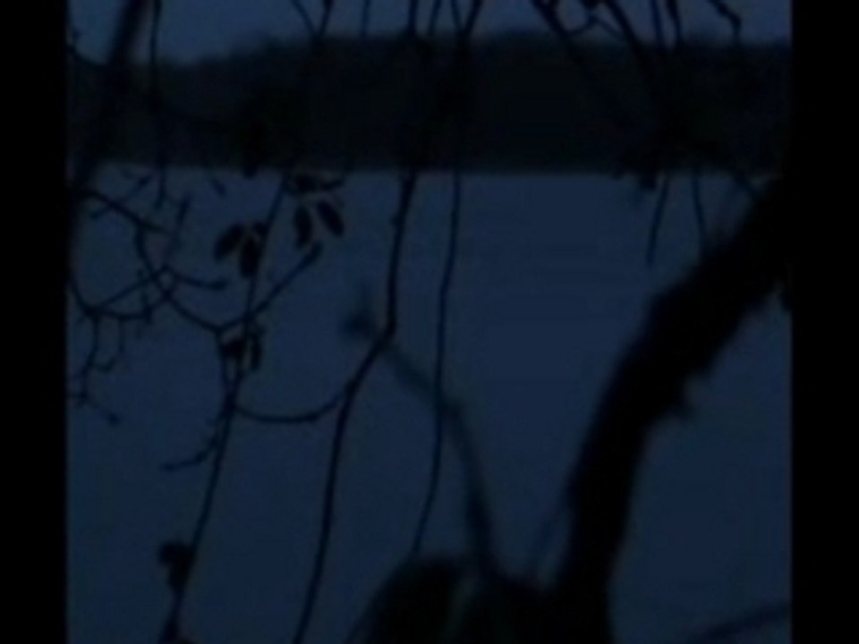 Red water