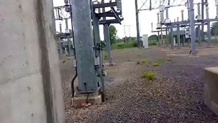 Maintenance worker finds a clutch of baby birds tucked into a 120,000 volt electrical station