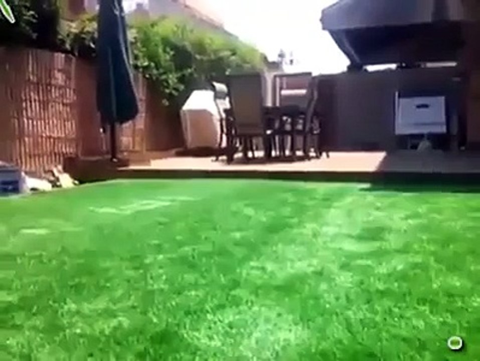 The best way to hide your in-ground swimming pool