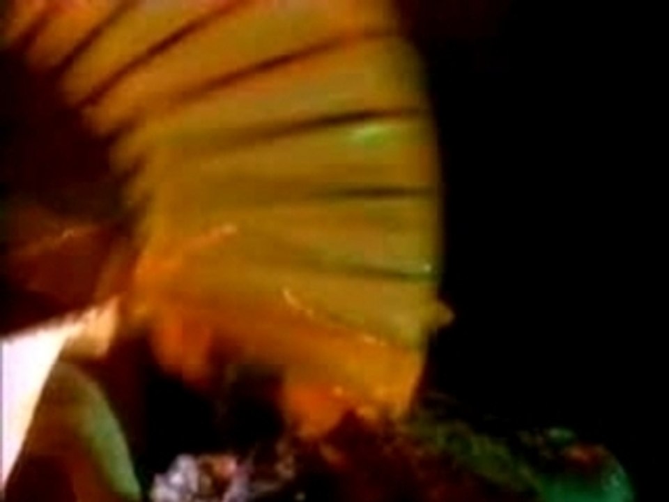 PAMALA STANLEY - Coming out of hiding (1