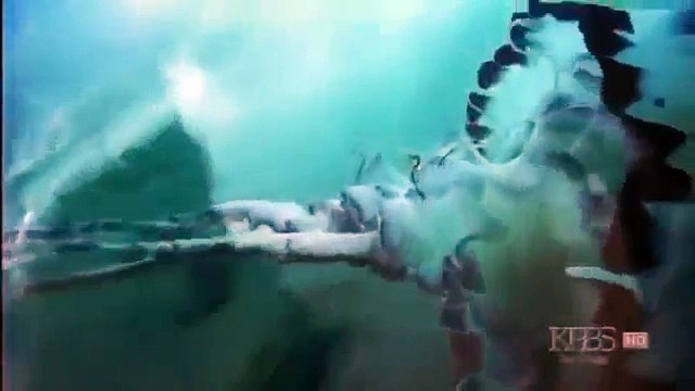 Kalahari-1: The Great Thirstland (Nova Nature Documentary)