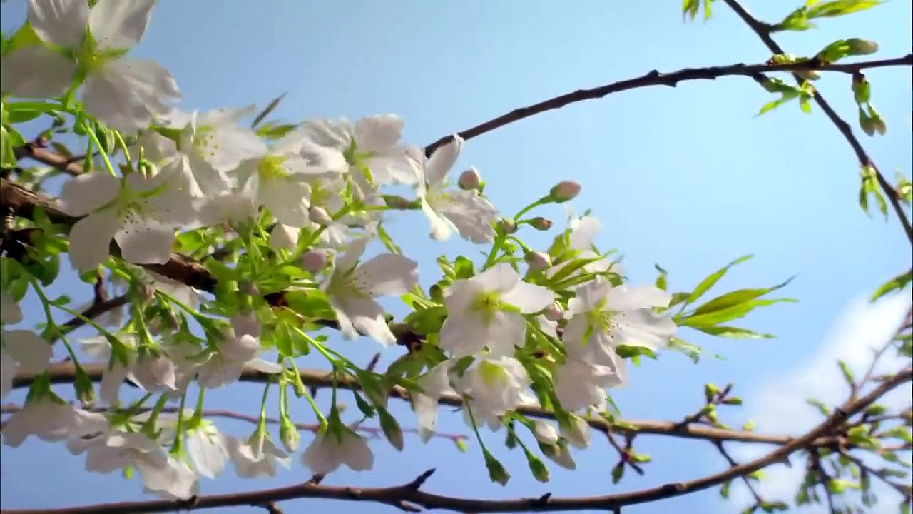 مناظر خيالية وطبيعة (سويسرا,النمسا,المانيا,أيطاليا) مع تلاوة خاشعة الجزء 1