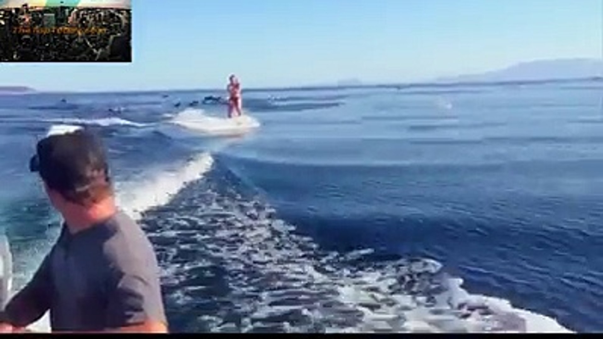 ⁣Wake boarding girl surrounded by dolphins