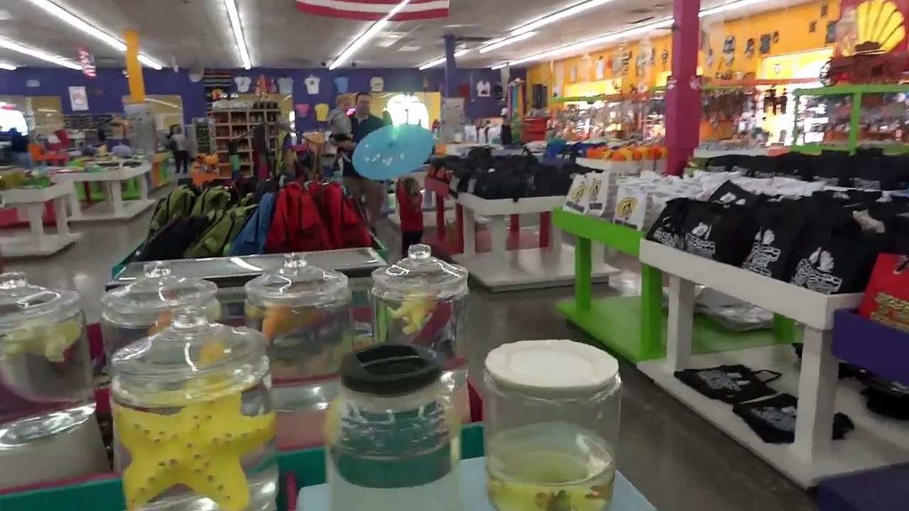 Willie Nelson - On the Road Again