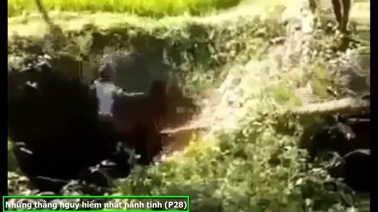 [Tin ViệtTv] Những Thằng Nguy Hiểm Nhất Hành Tinh (P28) ✔