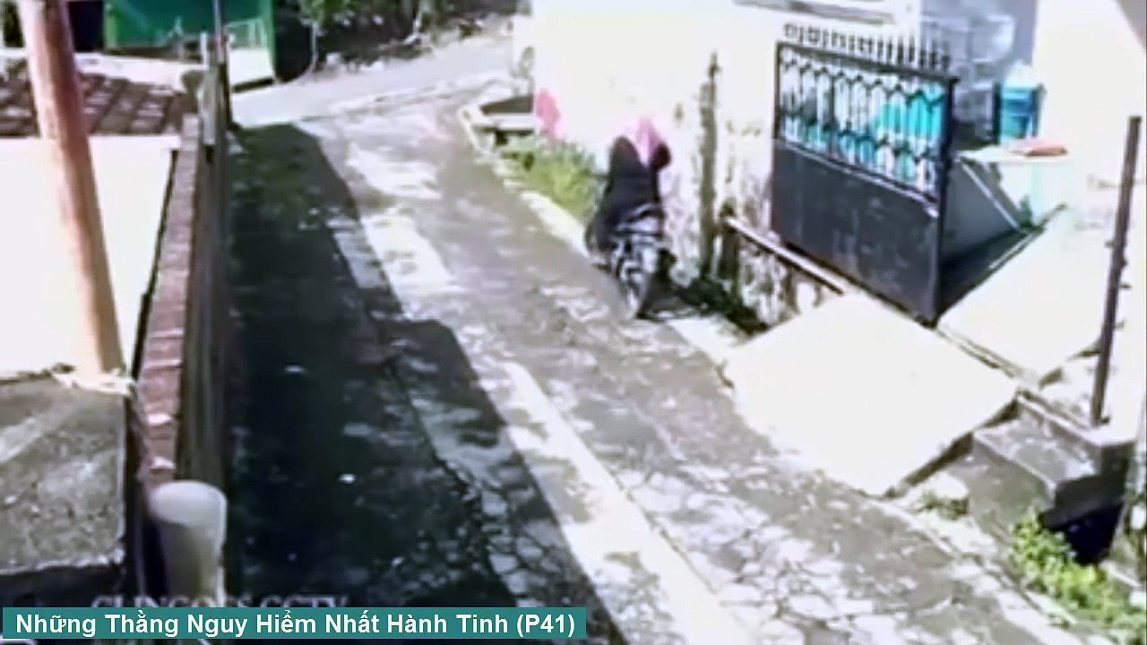 [Tin ViệtTv] Những Thằng Nguy Hiểm Nhất Hành Tinh (P41) ✔