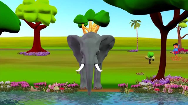 Nursery Rhymes Collection - Wheels On The Bus | Five Little Monkeys | Finger Family