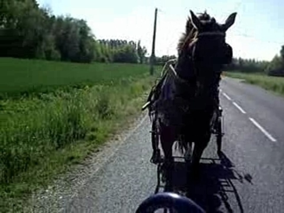 Attelage avec Gerard Dupont