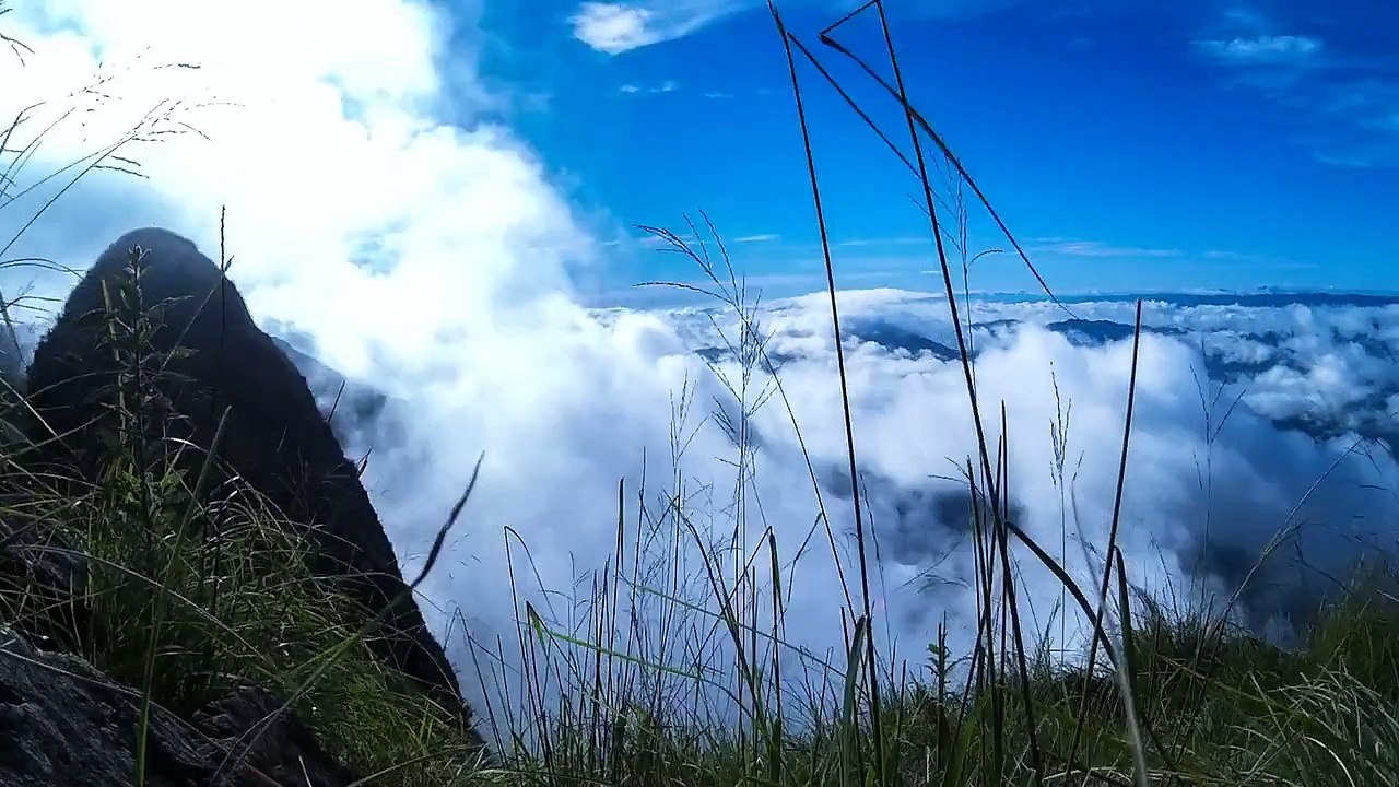 [Element Cams] - [VietNam beautiful sight] - Part 1: Mây Tà Xùa, lúa Xím Vàng