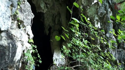This is Raja Ampat - Papua Indonesia (HD)