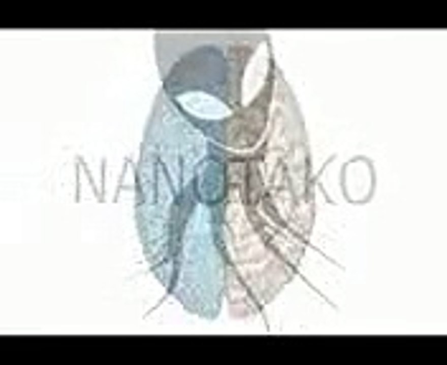 new01.5
