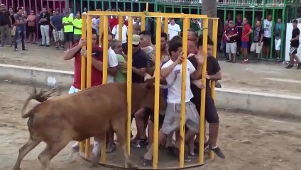FUNNY VIDEOS CLIPS 2015 - Funny Clips Latest