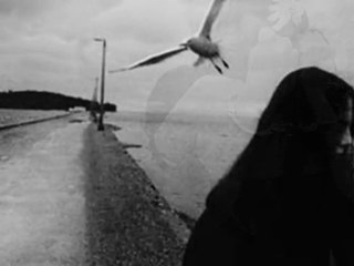 HANİ BENİM GENÇLİĞİM