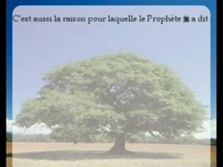 Epreuves