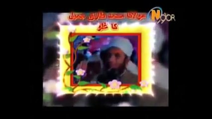 Mulana Tariq Jameel vs Dr Zakir Naik 2015