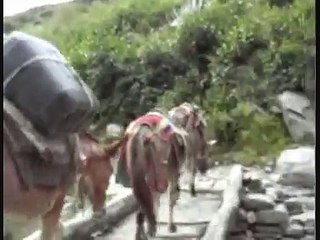 Amazing Waterfall In Nepal ghandruk