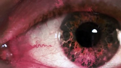 Slender Man A Real Life Documentary