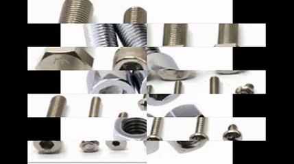 SS Fasteners