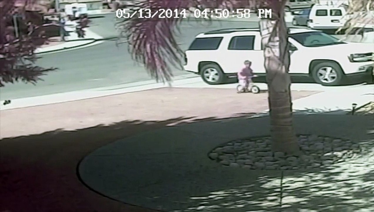 cat save the child from dog