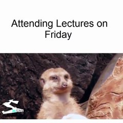 Attending lecture on Friday!