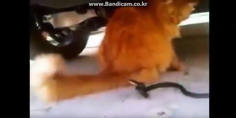 안산출장안마【】 OlO↔2165↔2776 출장마사지안산♭선호도1위『Å급매니저