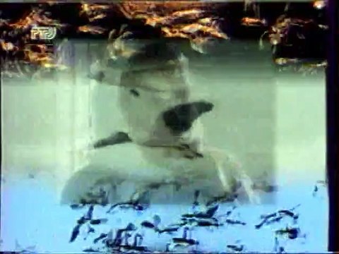 (staroetv.su) Начало программы За околицей (РТР, 30 декабря 1996)