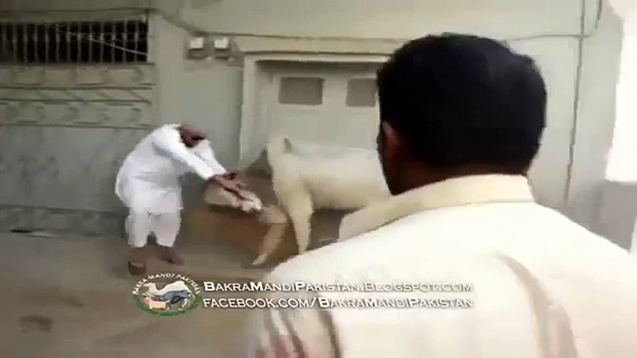Most Viewd Funny Clip