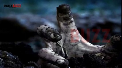 Aaj Sub Nafarman ko Alag Kar Do Maulana Tariq Jameel